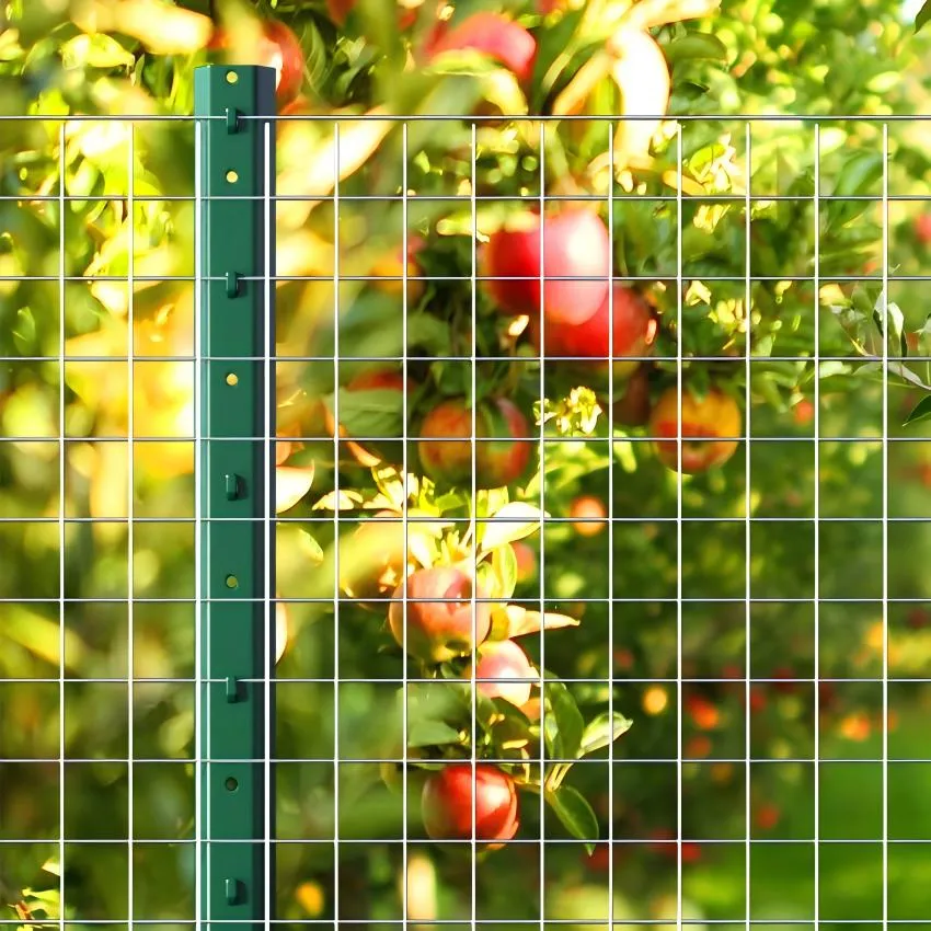 chain link double drive gate chain link double drive gate