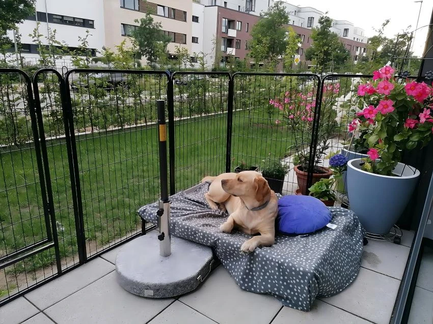 Chain Link Fence Panel Single Swing Garden Gate For Sale