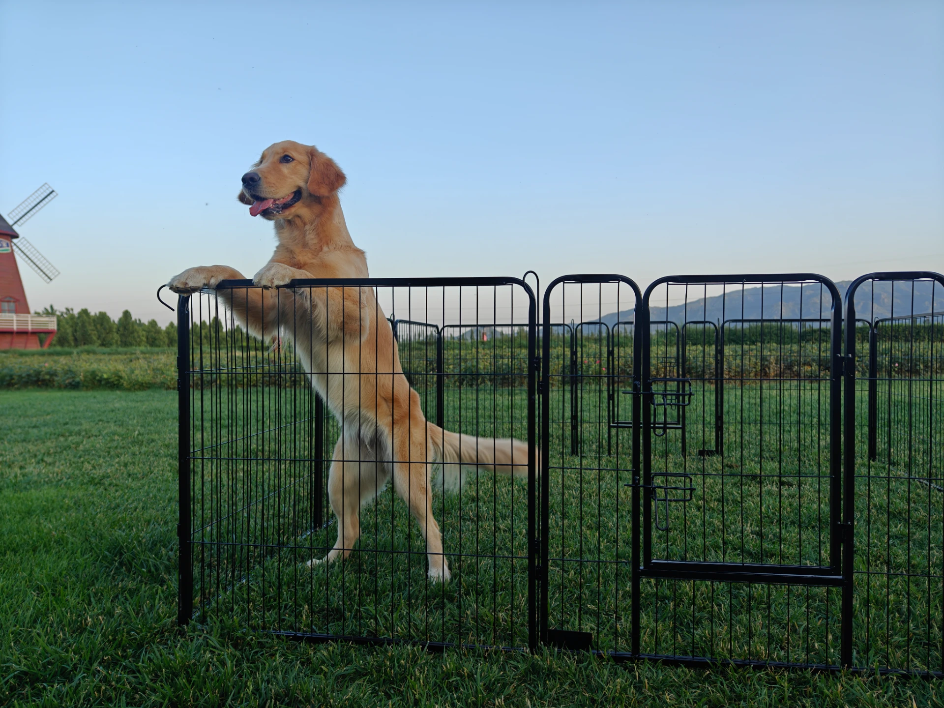 The importance of fence posts in the industrial sector