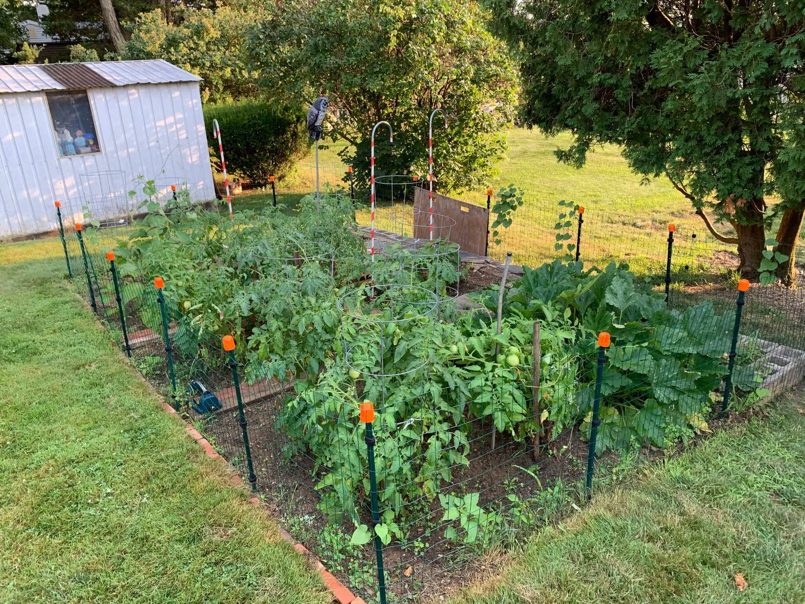 Chain Link Fence Panel Single Swing Garden Gate For Sale