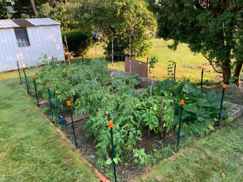 10ft single swing gate