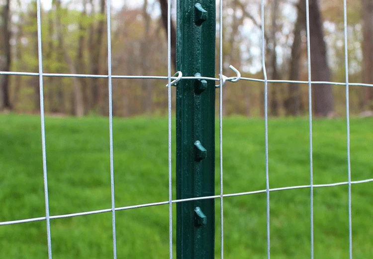 single wrought iron gates