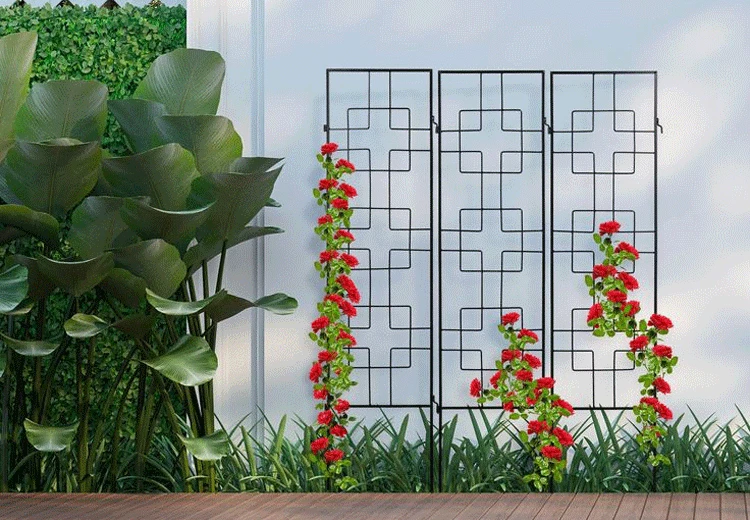 Elevate Your Garden with Affordable and Versatile Plant Supports