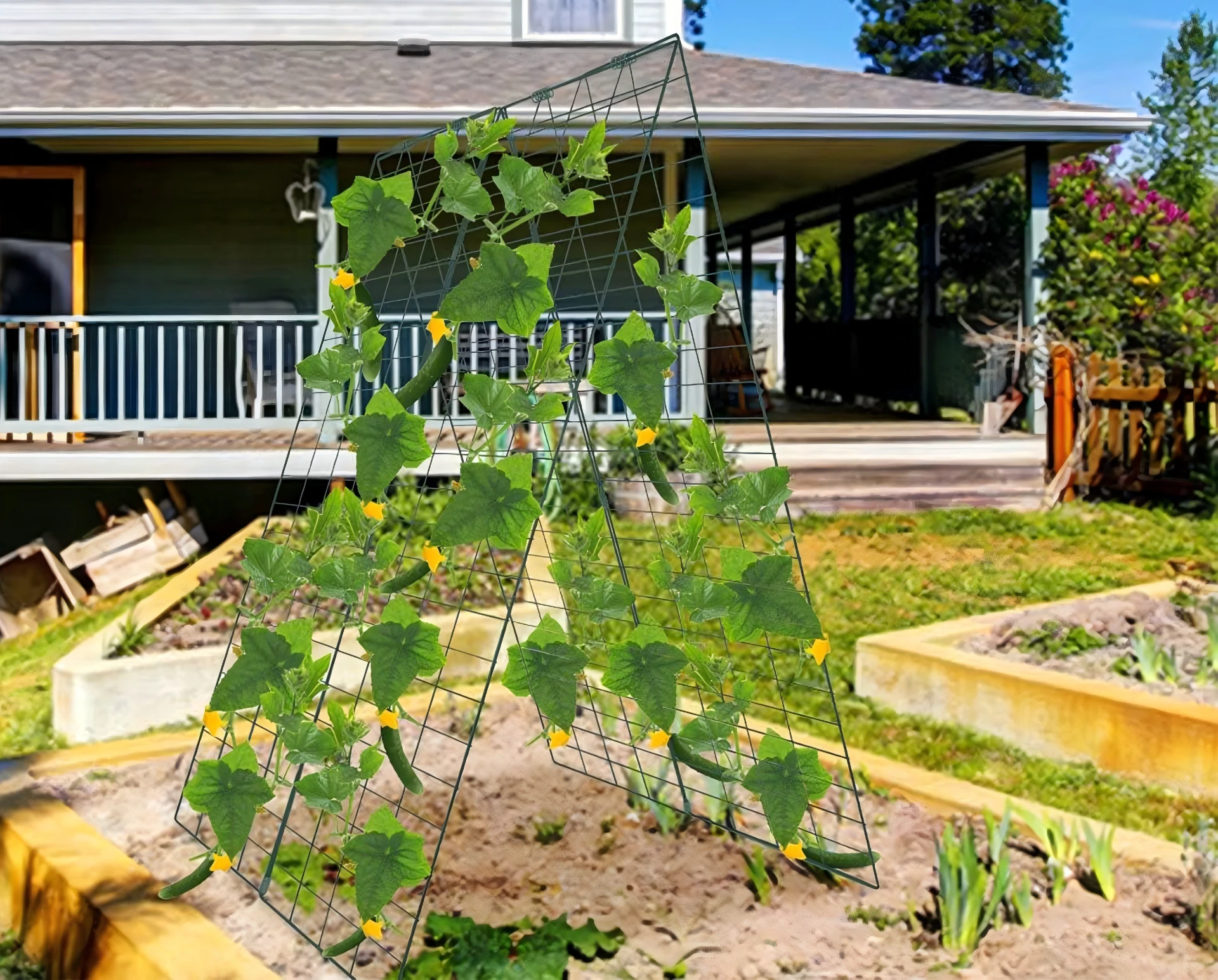 Elevate Your Garden with Quality Trellis