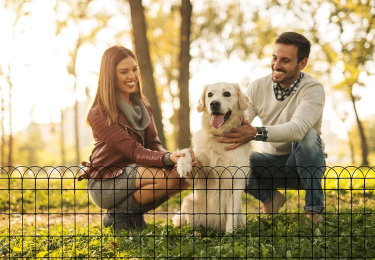 The Essential Guide to Garden Fencing: Protect Your Space and Pets