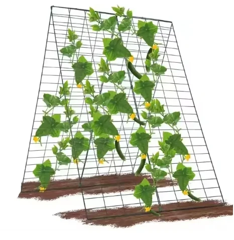 Choosing the Right Plant Support for Tomatoes​