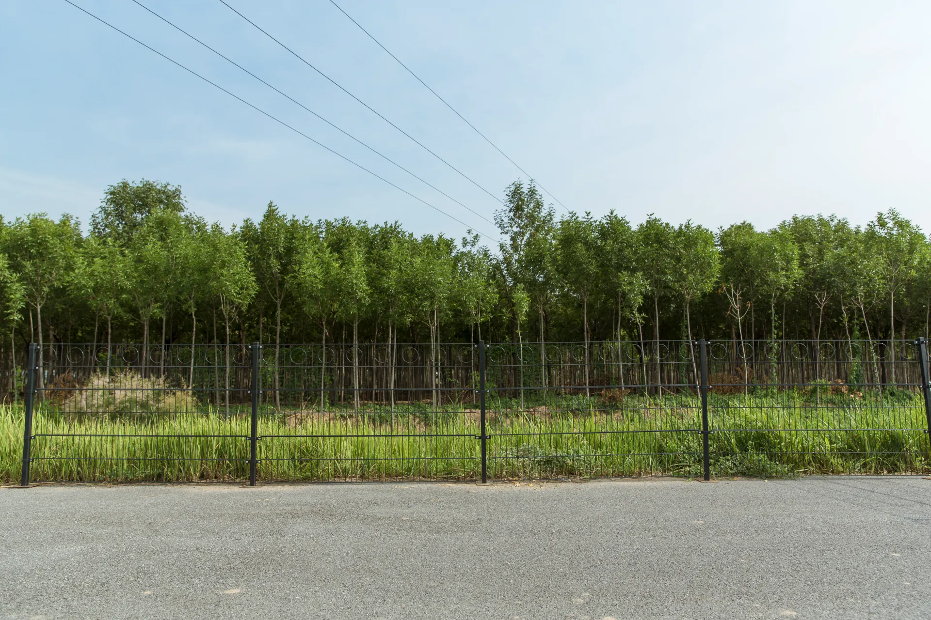 Round Shape Decorative 2D Panel Twin Wire Double Wire Panel Fence For Garden