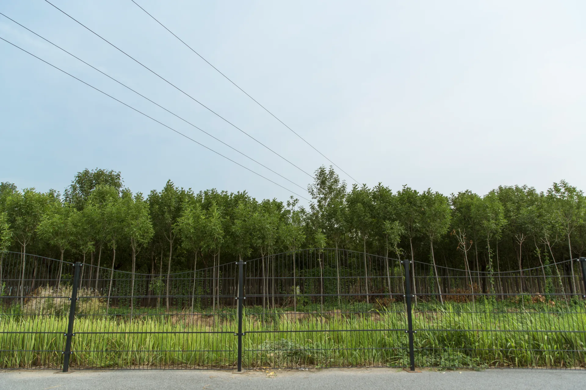 Corrugated Decorative 2D Panel Twin Wire Double Wire Panel Fence For Garden Wire Mesh Fence