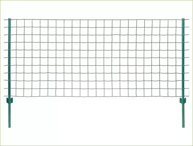 Puppy Play Area and Crate Solutions for Happy Pets