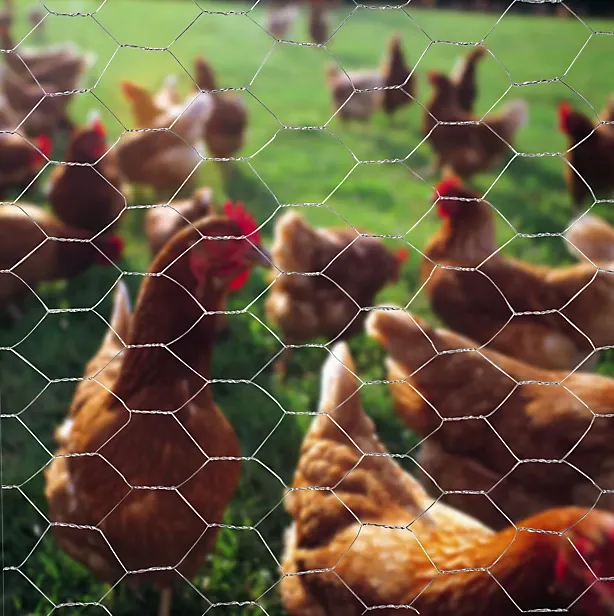 single door iron gate price