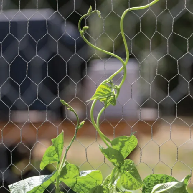 custom metal garden gates