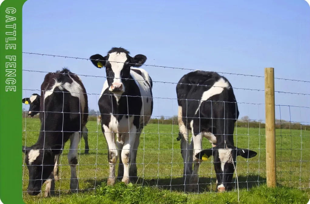 Read More About field fence for sale