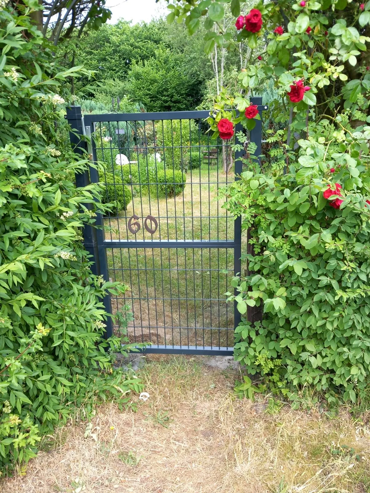 Portone d'ingresso doppio dell'ala del tubo rotondo rivestito della polvere del PVC