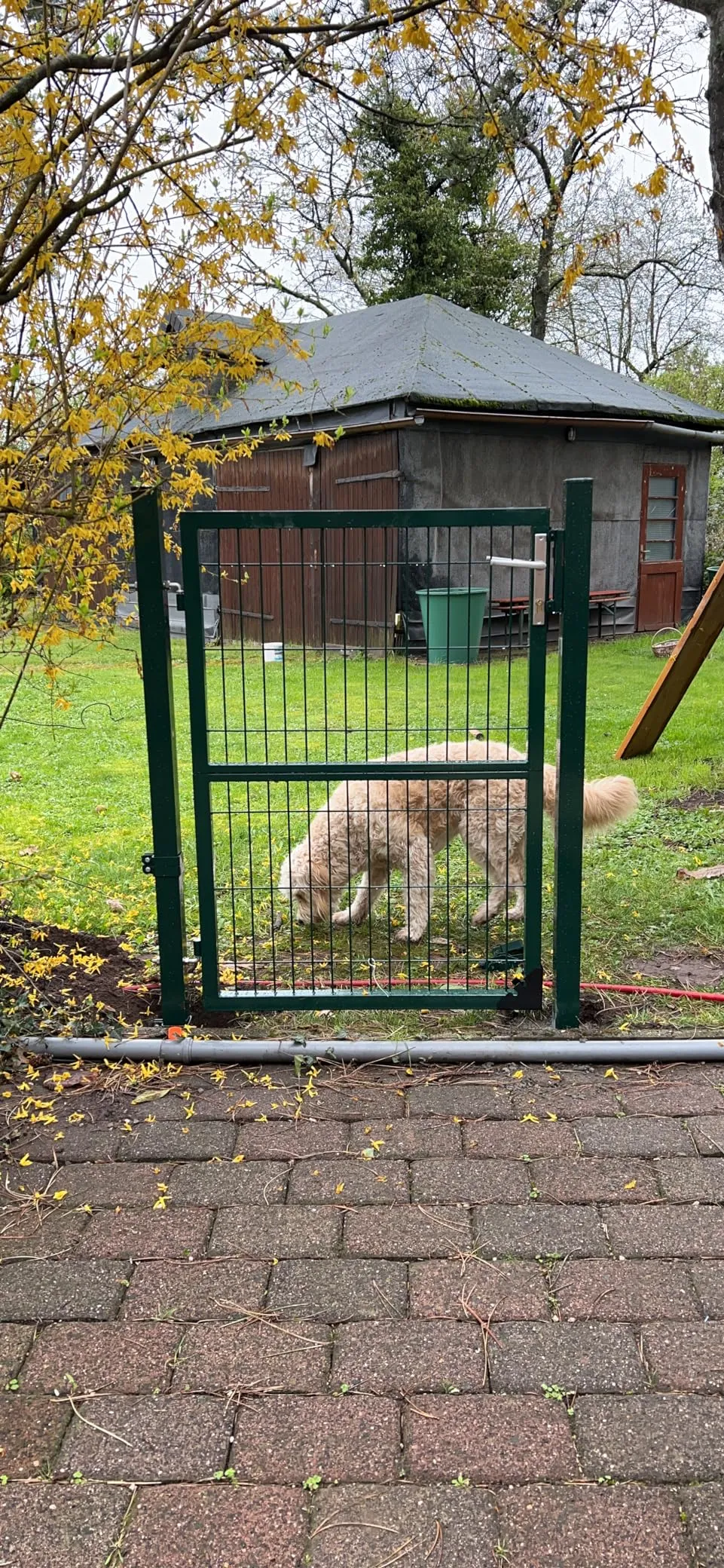 Chain Link Fence Panel Single Swing Garden Gate For Sale Chain Link Fence Panel Single Swing Garden Gate For Sale