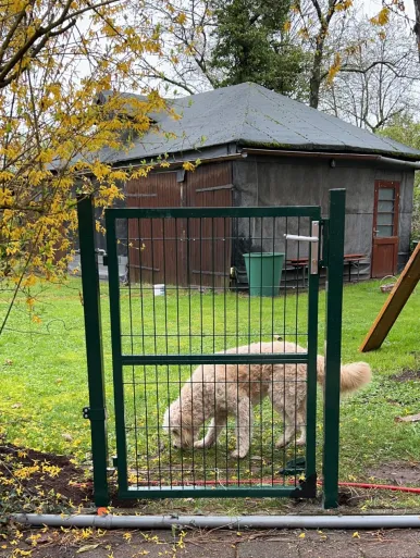 Read More About single swing driveway gate