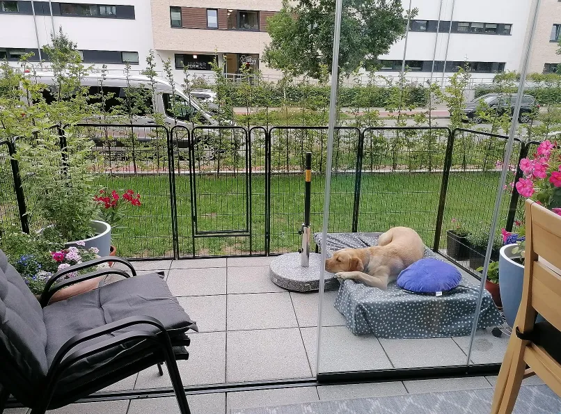 Read More About large dog cages for sale