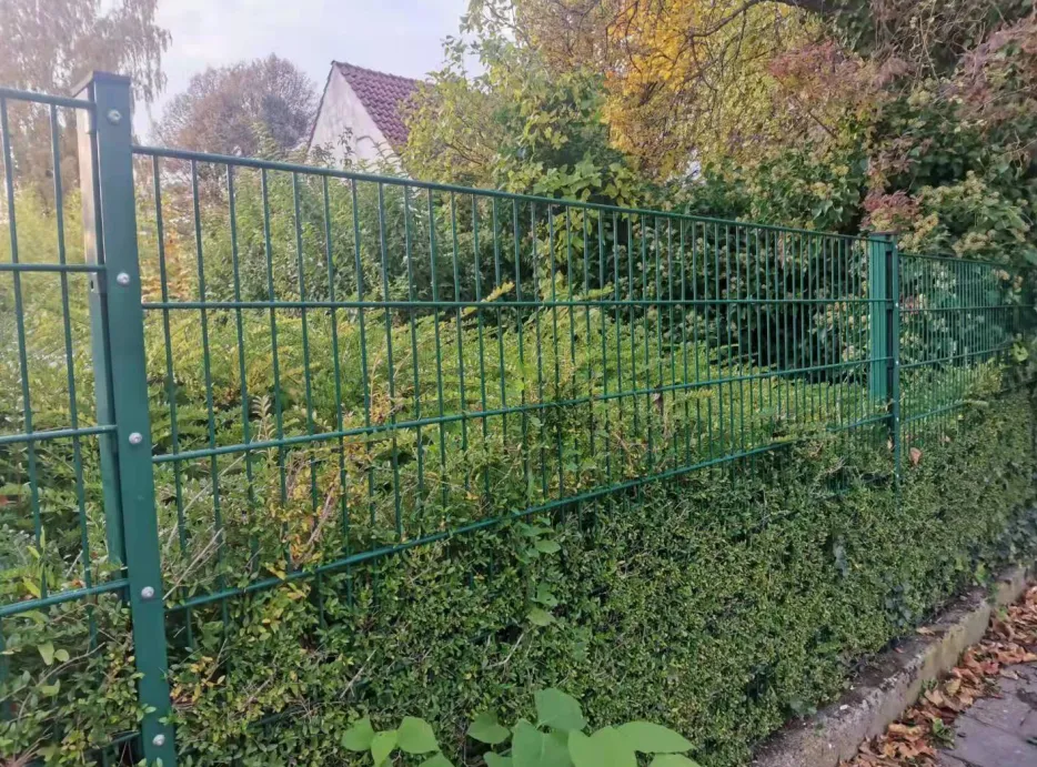 Read More About galvanized hog wire