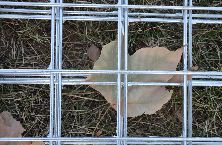 Read More About heavy duty plant support stakes