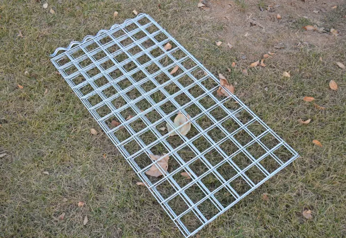 Read More About garden cages for plants