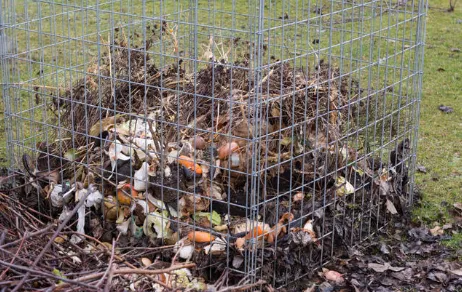 Read More About round plant supports