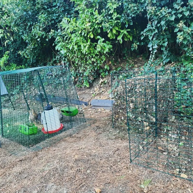 Read More About compost bin hardware cloth