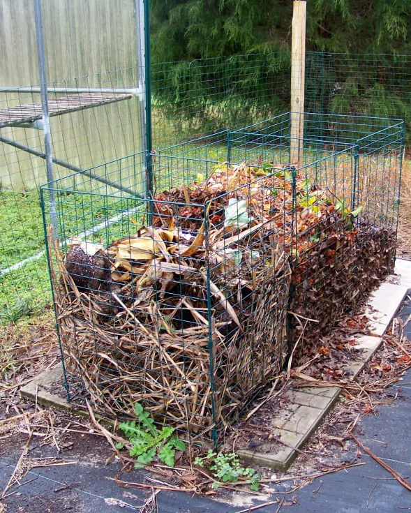 Read More About 3 bin wire composter