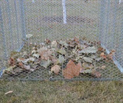 Read More About iron plant supports