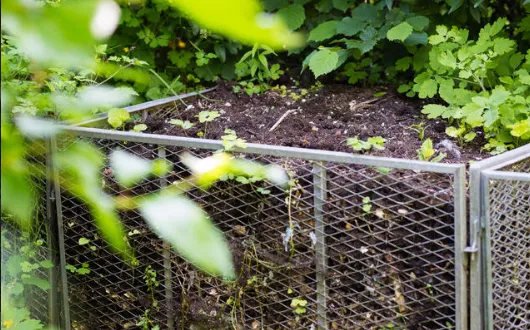 Read More About half moon plant supports