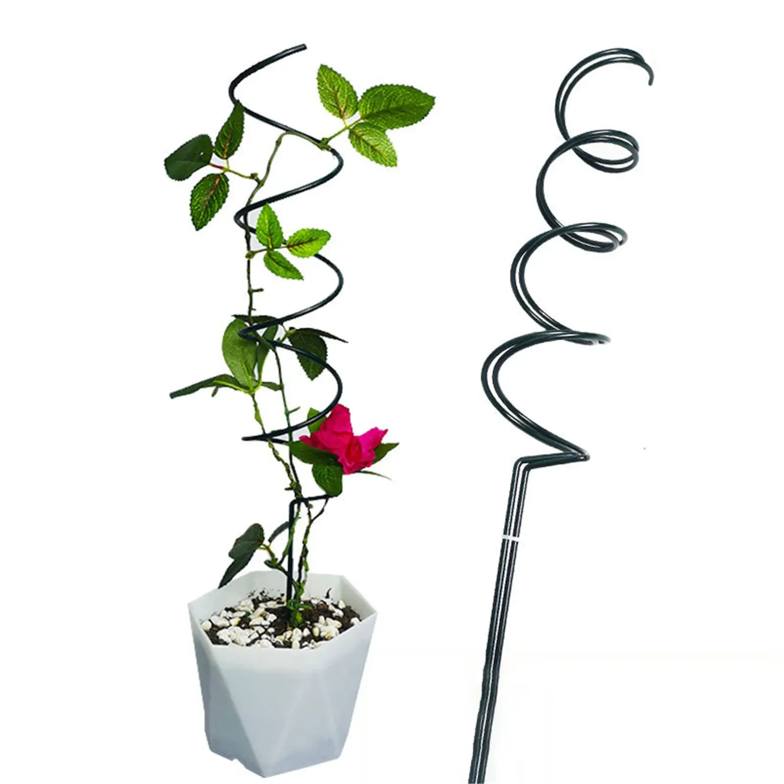 Read More About metal spiral plant supports