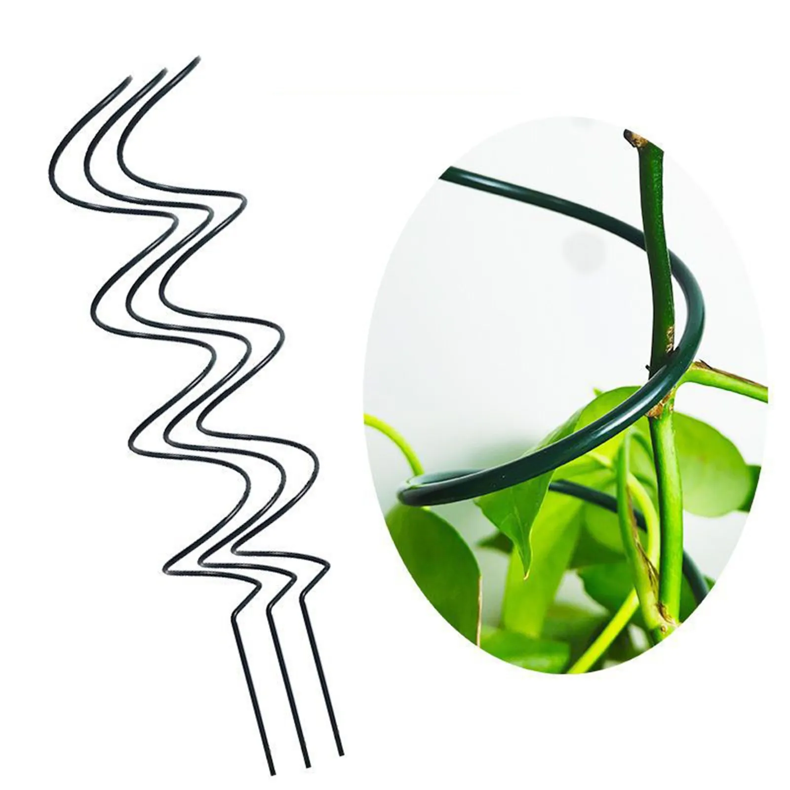 Read More About curly tomato stakes