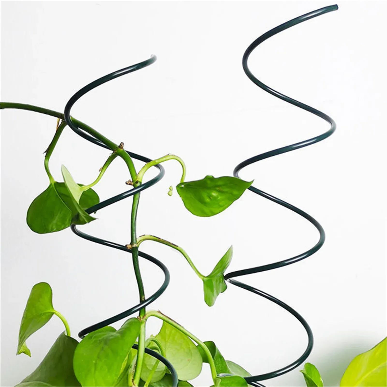 Read More About metal spiral garden stakes