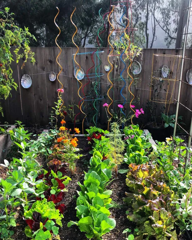 Read More About spiral tomato stakes