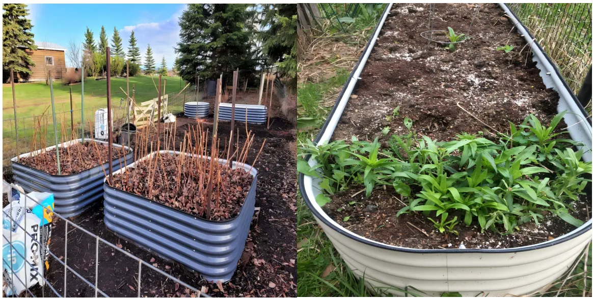 single gate for sale