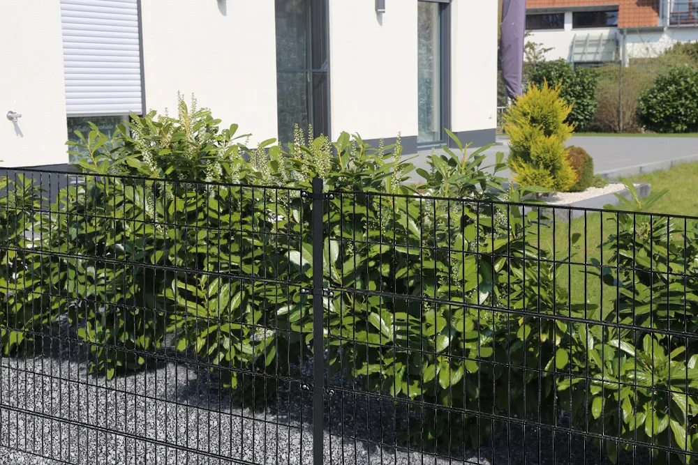 Read More About 868 twin wire mesh fencing