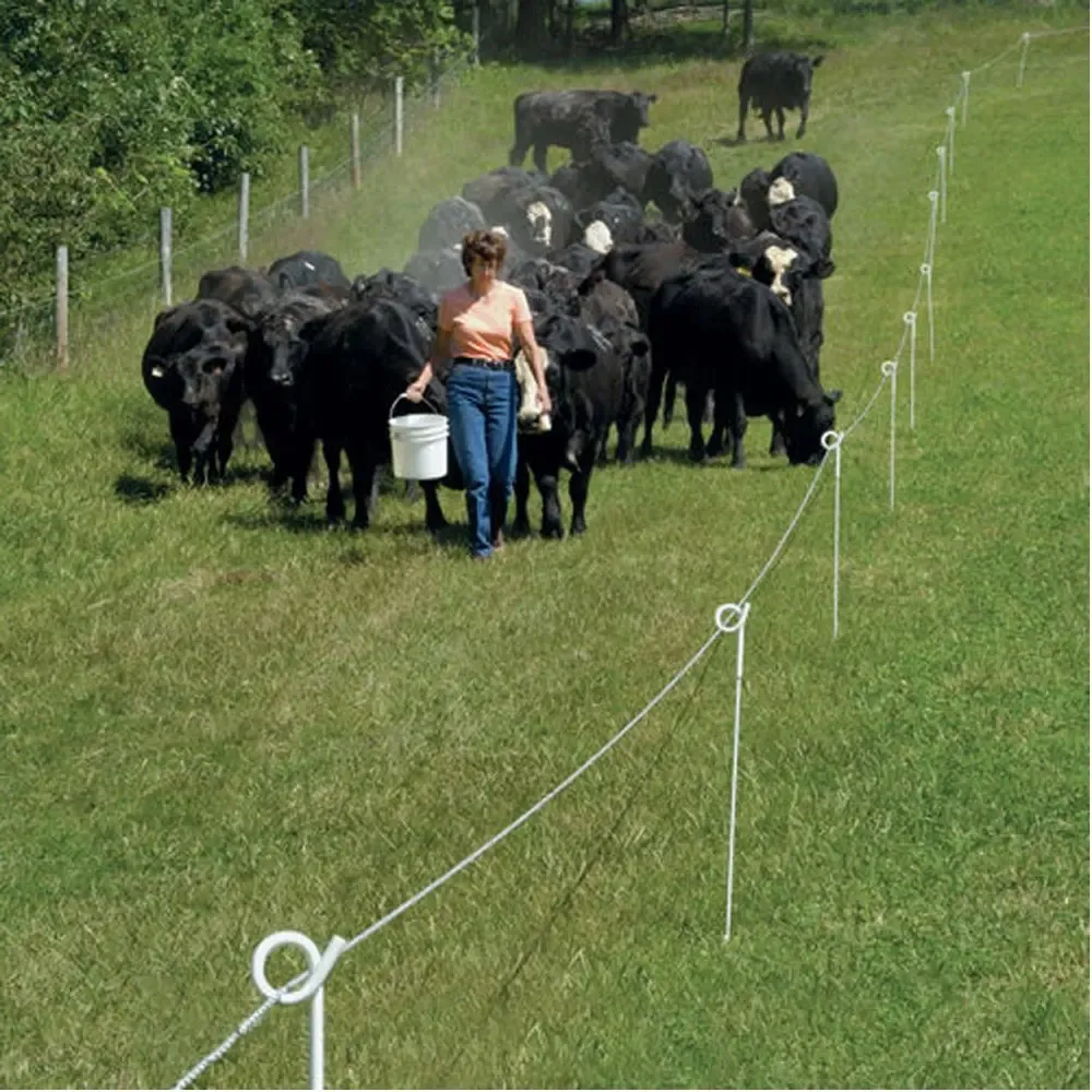 Metal Barb Top Type Bar Distance 110mm Double Swing Hot Sale Gate