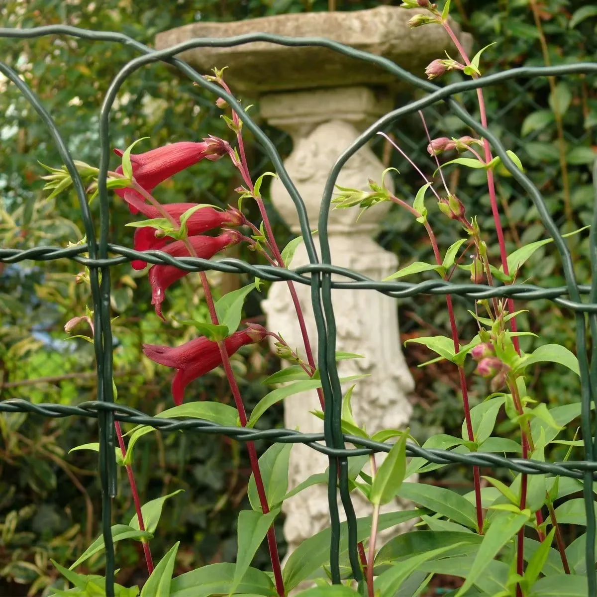 Read More About outdoor patio fence