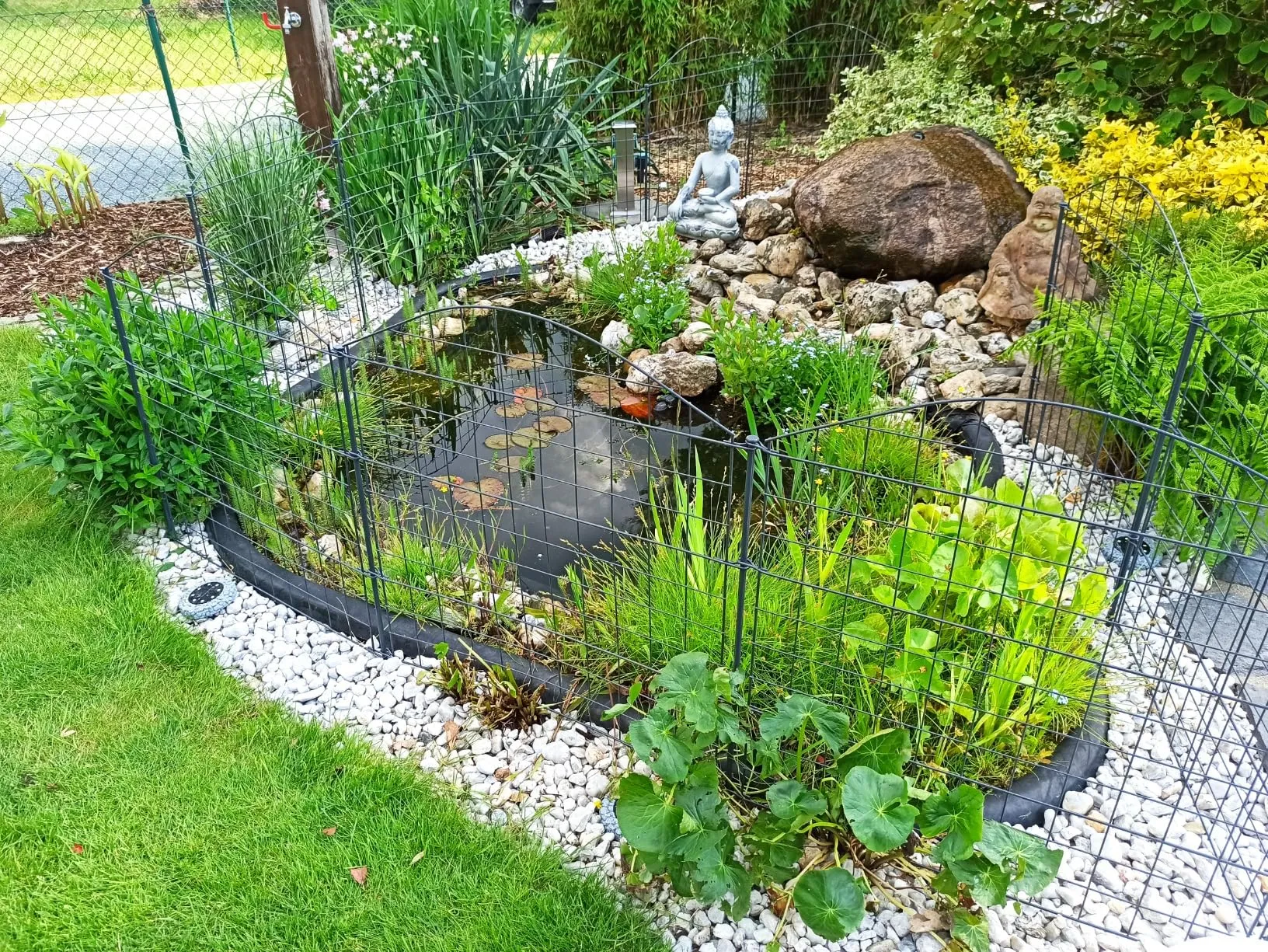 Read More About garden pond fence