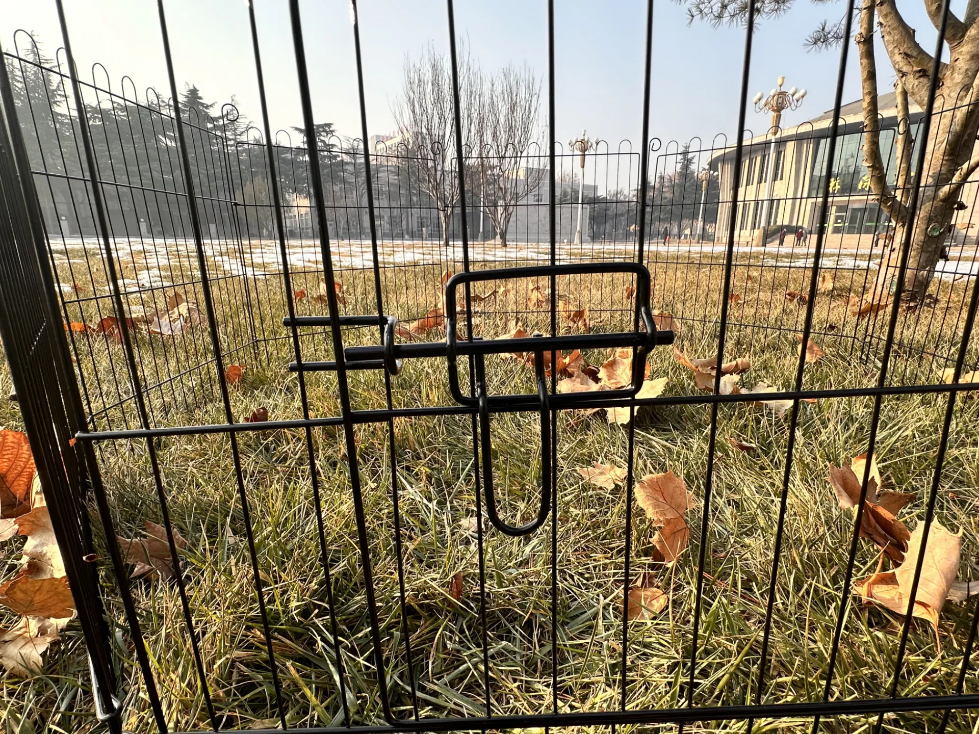 Read More About heavy duty dog pen