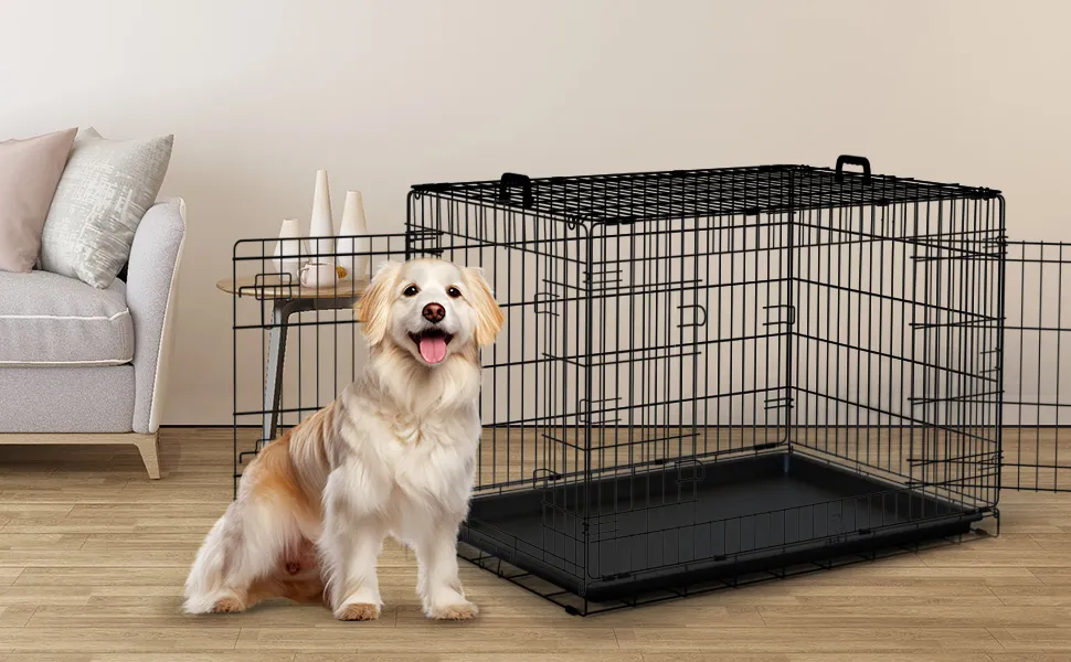 PVC Powder Coated Round Pipe Double Wing Entrance Gate