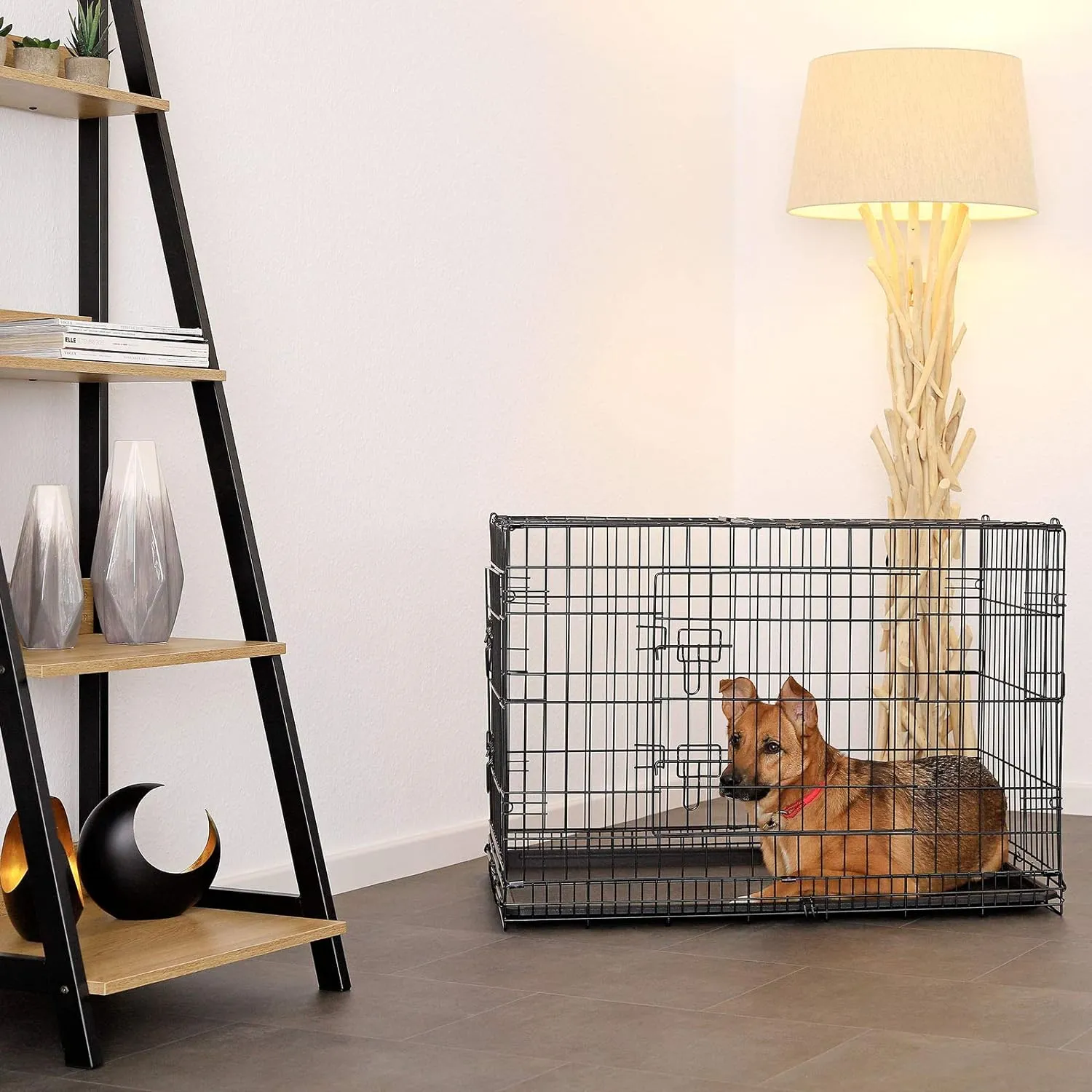Read More About cheap pet fence