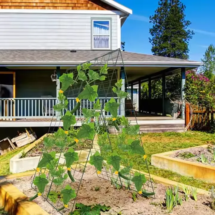 Read More About fruit support frames