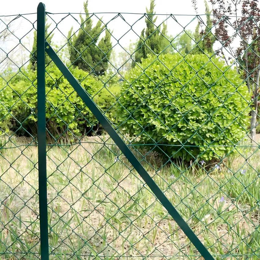 Green PVC Coated Welded Wire Mesh for Easy Link Applications