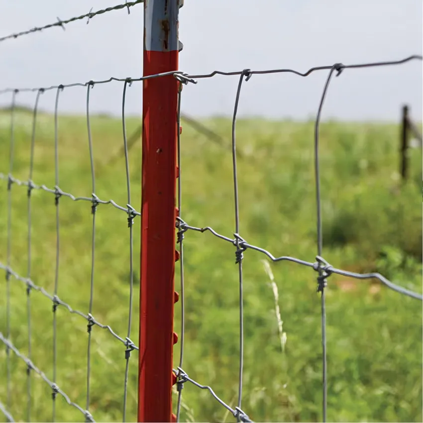 Hot Sale T Shape Post for Garden Wire Fence, Outdoor Fence
