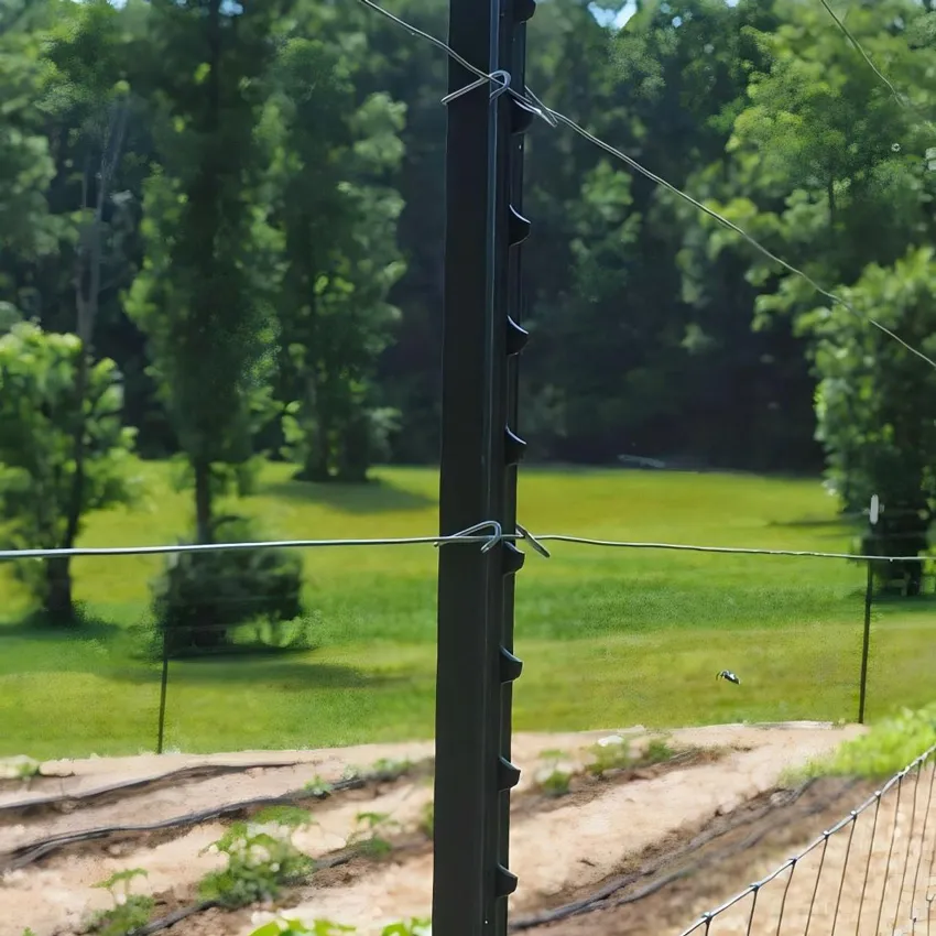 Hot Sale T Shape Post for Garden Wire Fence, Outdoor Fence