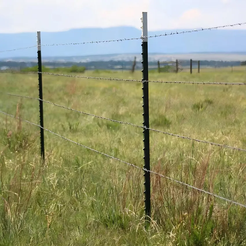 garden gates for sale