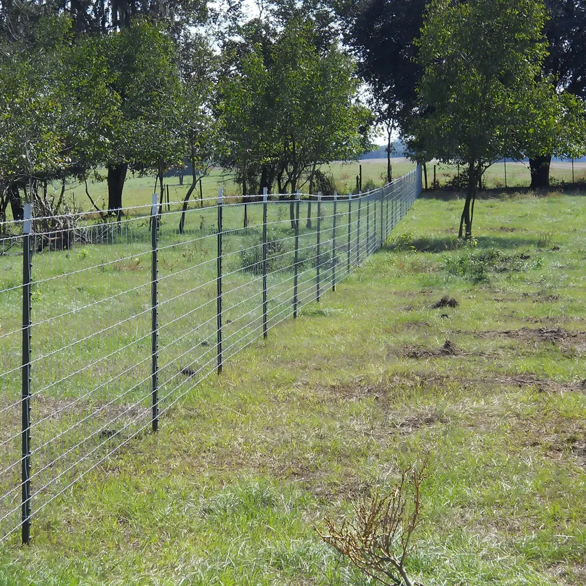 Hot Sale T Shape Post for Garden Wire Fence, Outdoor Fence