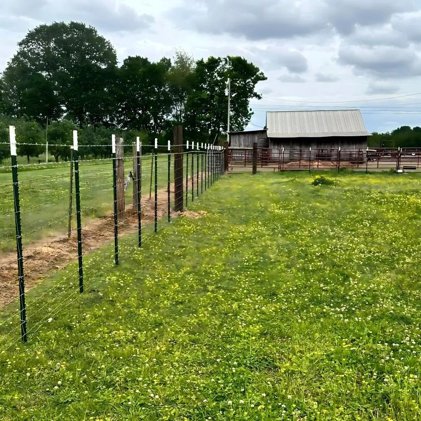 Hot Sale T Shape Post for Garden Wire Fence, Outdoor Fence