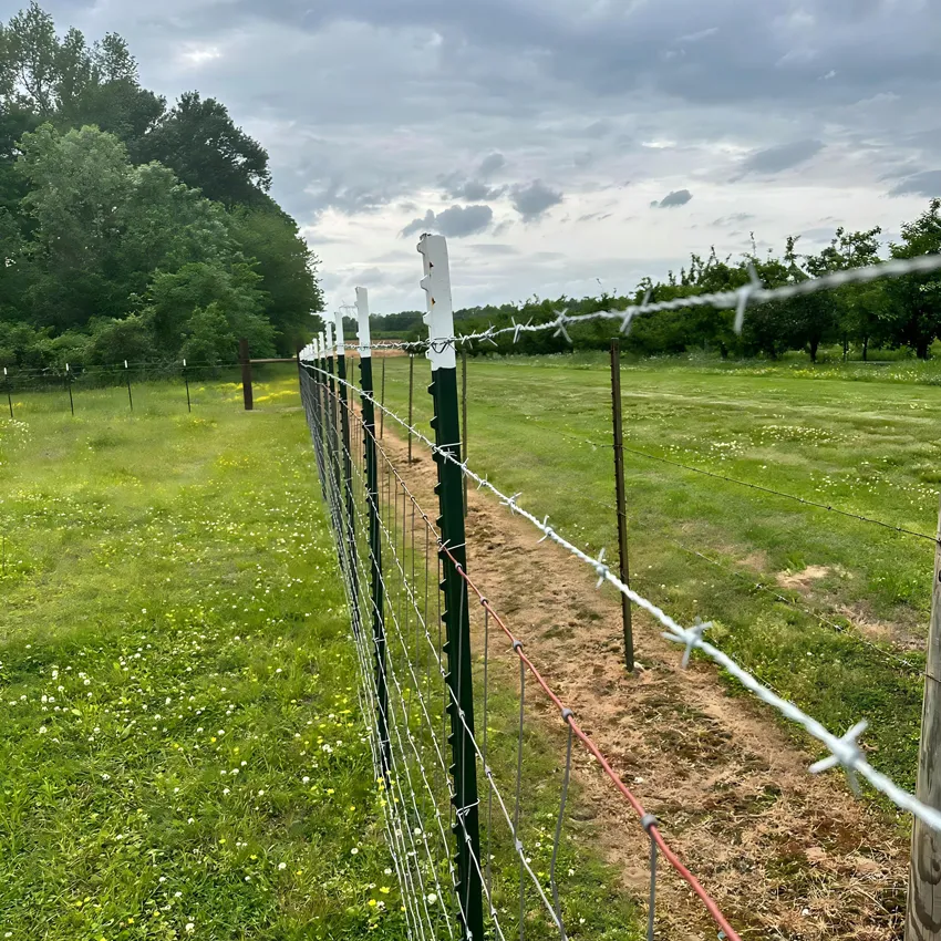 Hot Sale T Shape Post for Garden Wire Fence, Outdoor Fence