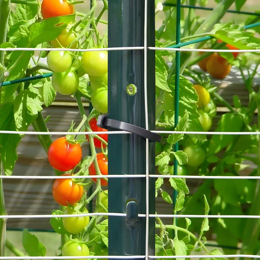 single door iron gate price