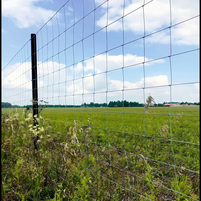 Hot Sale Y Shape Post For Garden Wire Fence, Outdoor Fence